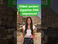 Oldest ancient Egyptian DNA sequenced