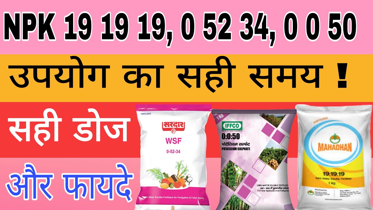 बेहतर उत्पादन के लिए एनपीके का सही उपयोग जान लीजिए | npk 19 19 19 | npk 0 52 34 | npk 0 0 50 |