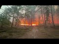 Major fire rages in Fontainebleau forest near Paris | AFP