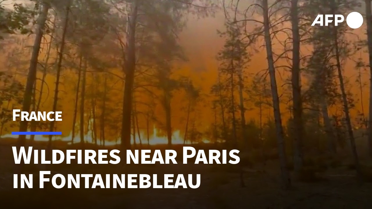 Stor skogsbrand nära Paris – motorväg delvis stängd