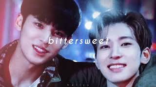 wonwoo × mingyu - bittersweet [ft.LeeHi]  (slowed + reverb)