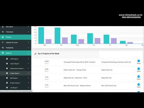 Report -Timesheet Software Tutorial