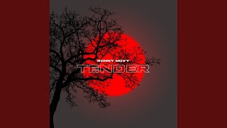 Tender