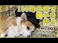 【100均 DIY】布から帽子を手作りしました。