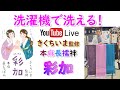 最強本麻長襦袢？！　きくちいまさん監修　彩加を詳しくご紹介！　今年の彩加はすごいぞ～