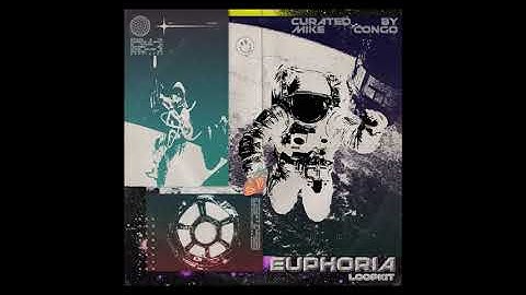[FREE] EUPHORIA HYPERPOP LOOP KIT - SOUNDS FOR UZI, CARTI ETC