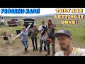 They are doing it  work couple builds tiny house homesteading offgrid rv life rv living 