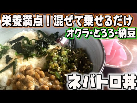 一度食べたら止まらない！栄養満点ネバトロ丼/家庭料理/かんたんレシピ/時短/節約/料理風景/毎日一品/japanese home cooking vlog