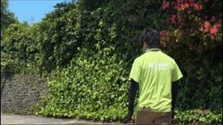 【LIVE】コツメカワウソを眺めながらいろんな話