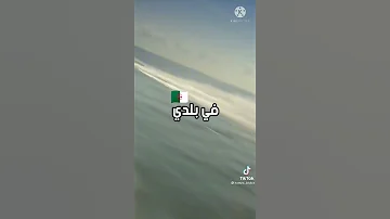 ايطاليا مياموري 
