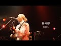 【ライブ映像】猫の夢/きばやし【Spotify O-west】