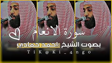 تلاوة تلين لها القلب | ما تيسر من سورة الانعام  |  الشيخ احمد حمادي