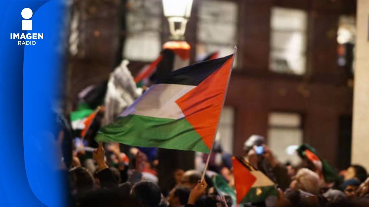 Reconocimiento a Palestina gana fuerza en la Asamblea de la ONU - YouTube