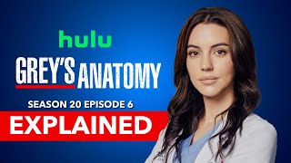 Grey's Anatomy Season 20 Episode 6 Explained