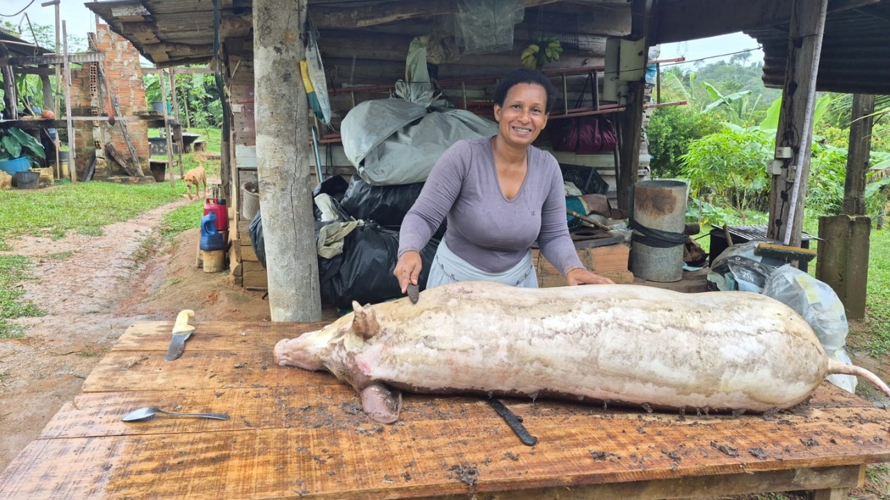 🌧️🐖 Abate de porco na chuva — vida simples da roça