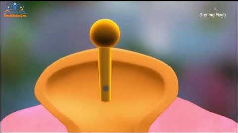 Quá trình sinh sản của thực vật có hoa