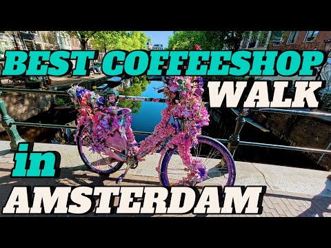 this is the BEST COFFEESHOP WALK in AMSTERDAM