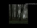 [free for non profit] izaya tiji + interlude + ambient type beat "nature"