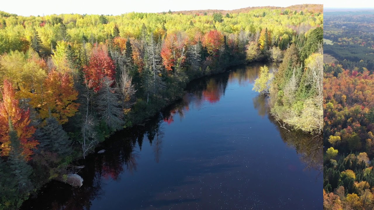 Land for Sale on Paint River 83acres in Iron County, Michigan YouTube