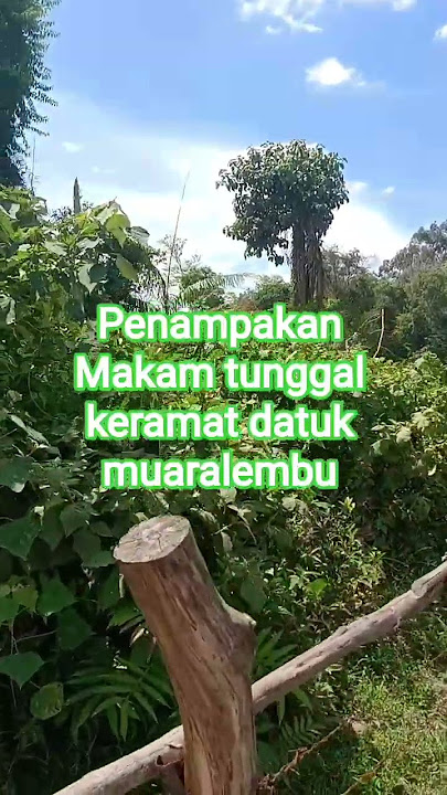makam tunggal keramat di tengah kebun sawit #horror #viralshort #viralvideo  #kuansingriau  #sawit