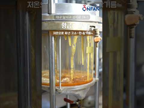 #shorts 비빔밥에 빠질 수 없는 것은? 저온으로 뽑아낸 고소한 참기름! sesame | sesame oil | bibimbap