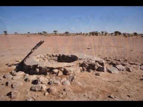 نادي الأدب الوقفات الطللية أو الأطلال مع حمدي ميارة