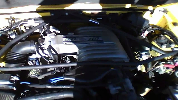 1993 Ford Mustang Convertible 5.0L V8 Start Up & Rev