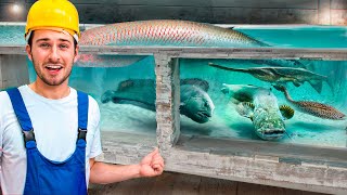 How I Built My $50,000 Dream Aquarium!