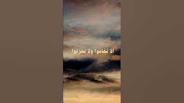 تلاوة مريحة للأعصاب
