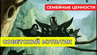 СОВЕТСКИЙ МУЛЬТИК ПРО СЕМЕЙНЫЕ ЦЕННОСТИ! МУЛЬТФИЛЬМЫ СССР