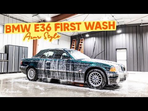 Garage 66 Automotive Detailing