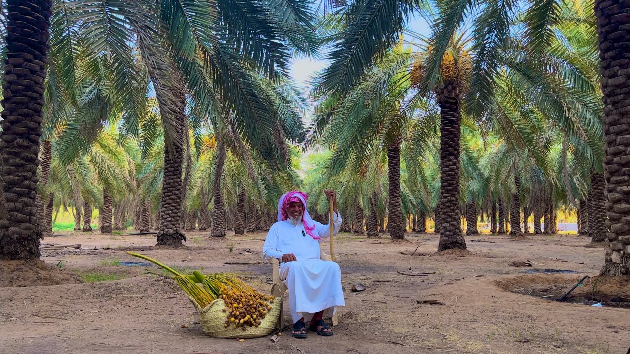 كرنفال بريدة للتمور | مقابلة مع المزارع العم محمد
