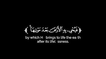 كروما شاشة سوداء قرآن كريم 🌿تلاوة من سورة الروم🌿القارئ ياسر الدوسري 🌿