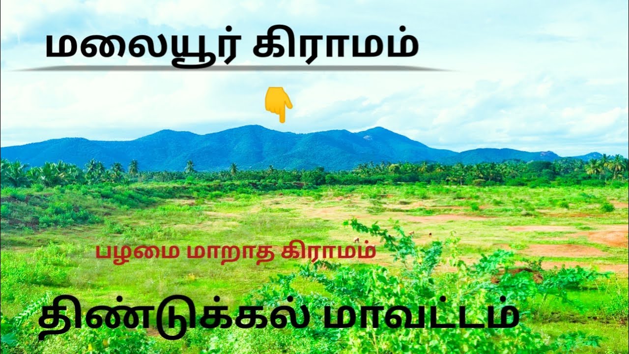 மலையூர் கிராமம்/ திண்டுக்கல் village vlog