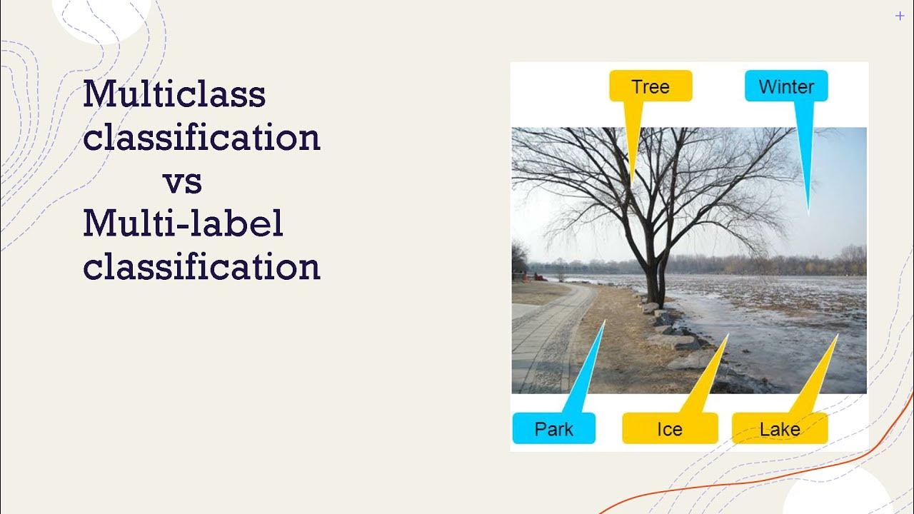 Multiclass Classification vs Multilabel Classification ꟾ Sinhala ꟾ ML