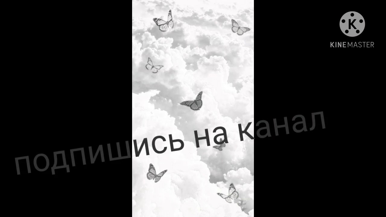 Нашид для машины