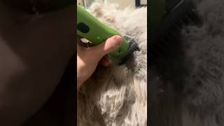 5 ⭐Wahl KMX Clipper for Dog Grooming