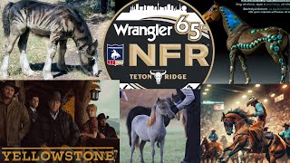 Top 10 Videos Para Vaqueros  #caballos #rodeo #horses #vaqueros  #charros