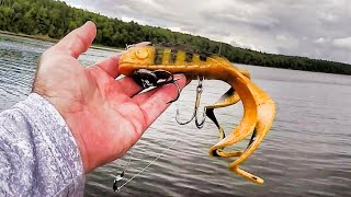 MUSKY FISHING EAGLE LAKE!! - Late Summer Canadian Muskies