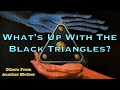 What's Up With The Black Triangles?