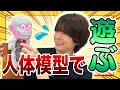 大人の漢は黙って人体模型で遊ぶのです。