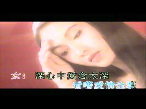 依依不捨 黎姿 張衛健