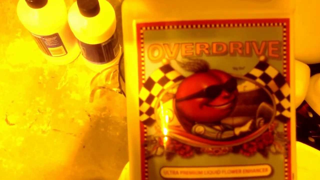 My nutrient schedule what I use.