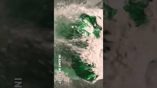 Ajax Powder & Green Toilet Cleaner