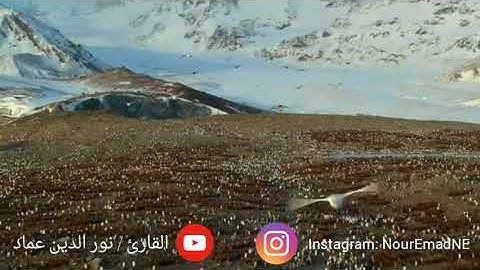 لو أنزلنا هذا القرآن على جبل لرأيته خاشعًا | تلاوة خاشعة | Nour El Deen Emad