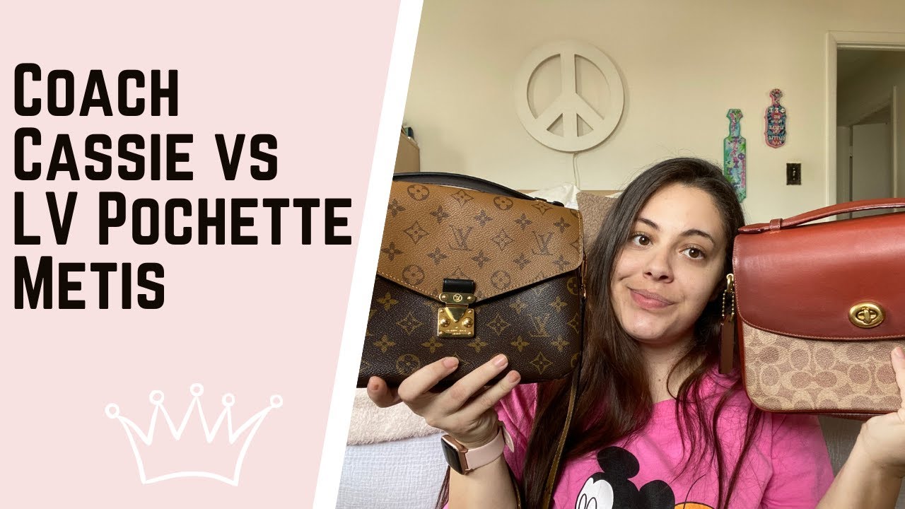 What bag is better? The Coach one reminds me of the Pouchette Metis :  r/handbags