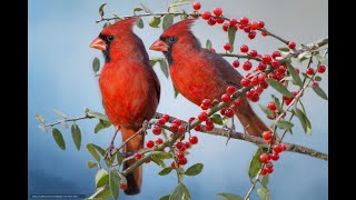 Jeanne Rice-Howland-Park & Robert "Bob" Scott Howland  - Joint Funeral Service - February 18, 2025