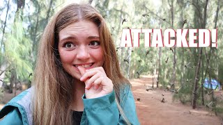 getting eaten alive by MOSQUITOES by Jordan Mae 23,304 views 2 years ago 17 minutes