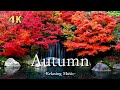 美しい紅葉の絶景【4K】リラックス音楽と森の自然音|Autumn Forest