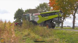 Das geht aber Tief runter hier Körnermais Dreschen LU Behr Erntet Mais m. Mähdrescher &amp; Maispflücker
